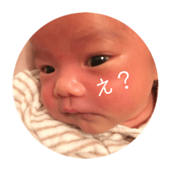 [LINEスタンプ] あおちゃん。。 