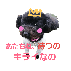 [LINEスタンプ] いぬのスタンプ3