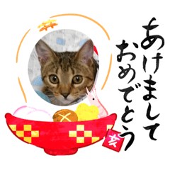 [LINEスタンプ] ネコ新年