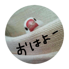 [LINEスタンプ] 文鳥のミーとチー。