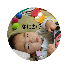 [LINEスタンプ] マモルの日常3 
