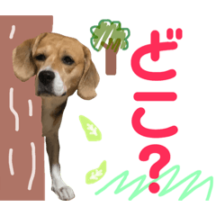 [LINEスタンプ] どりちゃん2 
