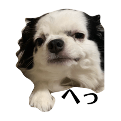 [LINEスタンプ] るるのすたんぷ 