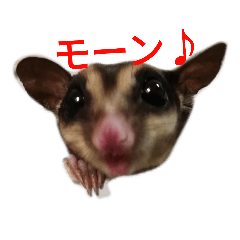 [LINEスタンプ] ももんがーだもーん 