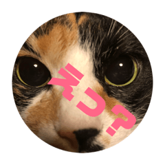 [LINEスタンプ] ゆずとちろ 