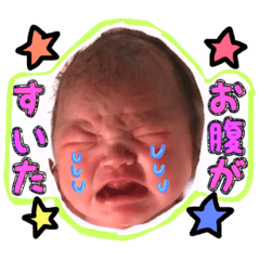 [LINEスタンプ] まおちゃん＆ねこちゃんず2