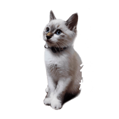 [LINEスタンプ] らむのせかい 
