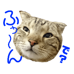 [LINEスタンプ] みー太くんの日常③ 