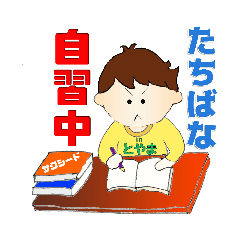 [LINEスタンプ] 橘 バドミントンスタンプ