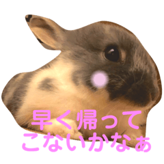 [LINEスタンプ] みにうさぎ② 