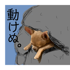 [LINEスタンプ] MUGISTAMP1 