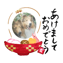 [LINEスタンプ] ラフコリーと仲間達冬編