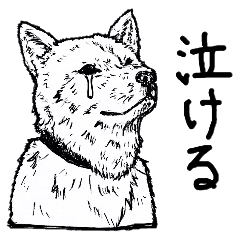 [LINEスタンプ] ヒト科の柴犬さん