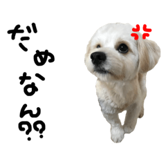 [LINEスタンプ] さとるの日常3