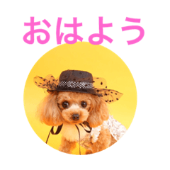 [LINEスタンプ] アンジーと仲間たち