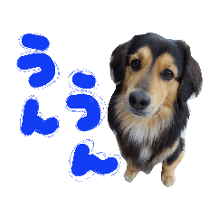 [LINEスタンプ] れんちゃんぽんめん