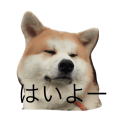 [LINEスタンプ] ふみえJAPAN 