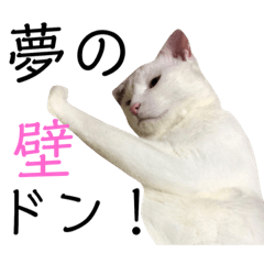 [LINEスタンプ] しらこ様の雑なスタンプPart2