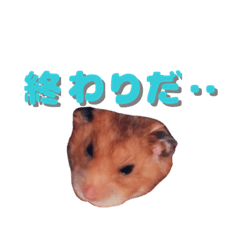 [LINEスタンプ] 終わってるハムスター 
