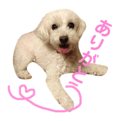 [LINEスタンプ] といぷーどるのめーちゃん 