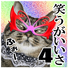 [LINEスタンプ] リアルキジトラ❤笑える猫写真4の画像（メイン）