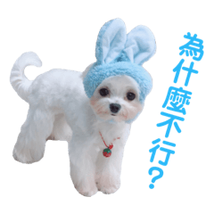 [LINEスタンプ] ピピ～ごはんよ！ 