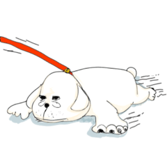 [LINEスタンプ] 犬のオッス♂ ＆ メッス♀ 