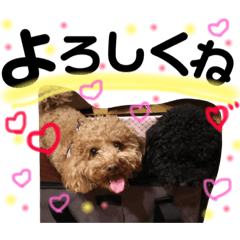 [LINEスタンプ] ぷぷとえったん 