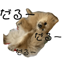 [LINEスタンプ] 自由気まま,にこちゃん。 