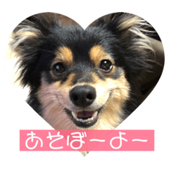 [LINEスタンプ] もあちゃんのキュートなスタンプ 