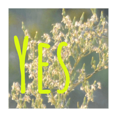 Nature energy sticker