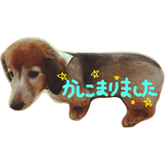 [LINEスタンプ] リカのミカン 