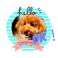[LINEスタンプ] トイプードル,,アトム君スタンプ 