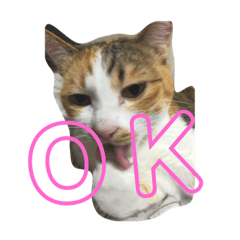 [LINEスタンプ] 日常会話 生活。 