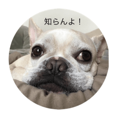 [LINEスタンプ] とらおさん 