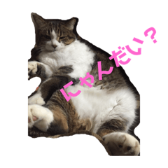 [LINEスタンプ] ミケとキキ②