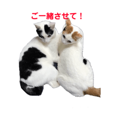 [LINEスタンプ] ハンスとふじ