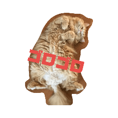 [LINEスタンプ] ダラダラルンバとクールチョコ