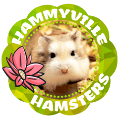 [LINEスタンプ] HammyVille 2 - Cute and Fun Pet Hamstersの画像（メイン）