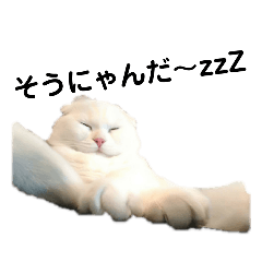 [LINEスタンプ] ほたる's スタンプ（日常）