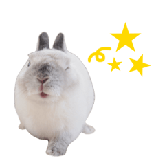 [LINEスタンプ] とろ日和 その③