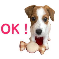 [LINEスタンプ] ろんろころん1