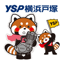 [LINEスタンプ] YSP横浜戸塚のレッサーパンダ『YSパンダ』の画像（メイン）