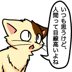 [LINEスタンプ] 高圧的な猫スタンプ 