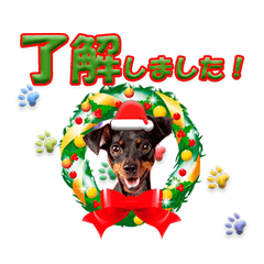 [LINEスタンプ] 冬を乗り切るミニピンスタンプ2