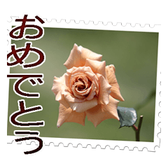 [LINEスタンプ] 薔薇の切手風スタンプ