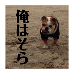 [LINEスタンプ] 俺はそら。 