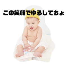 [LINEスタンプ] ぴっぴの日常スタンプ