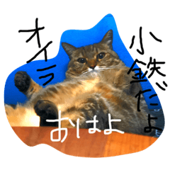 [LINEスタンプ] 小鉄とトラとさくら 