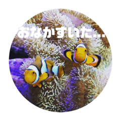 [LINEスタンプ] AYUMIRIUM1